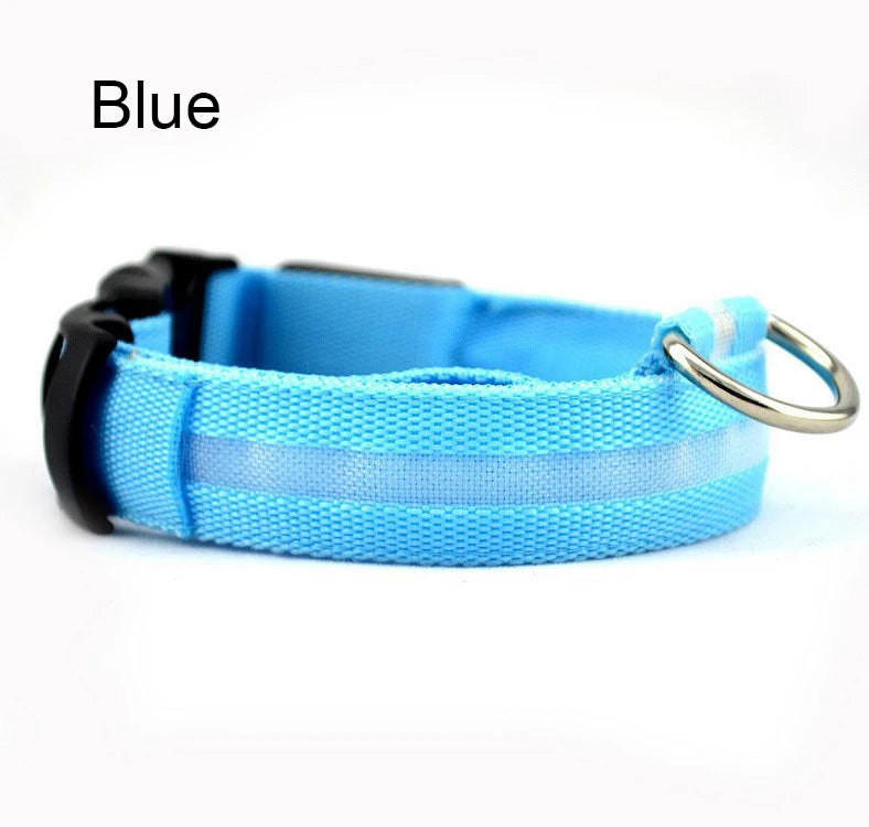 COLLAR LUMINOSO PARA PERRO NYLON LED