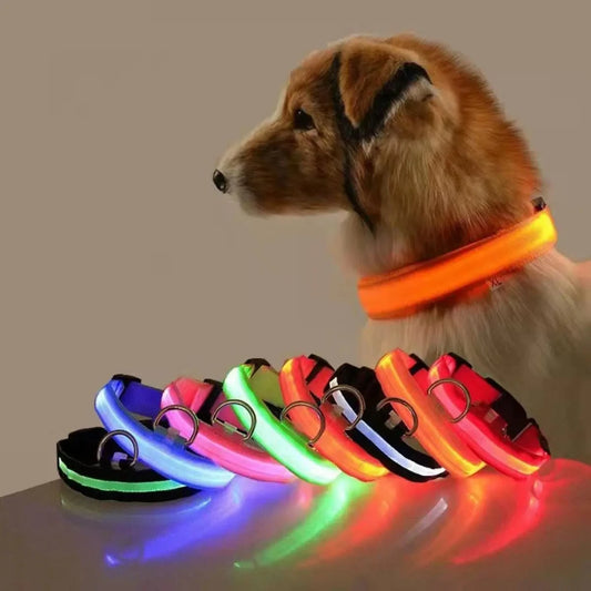 COLLAR LUMINOSO PARA PERRO NYLON LED