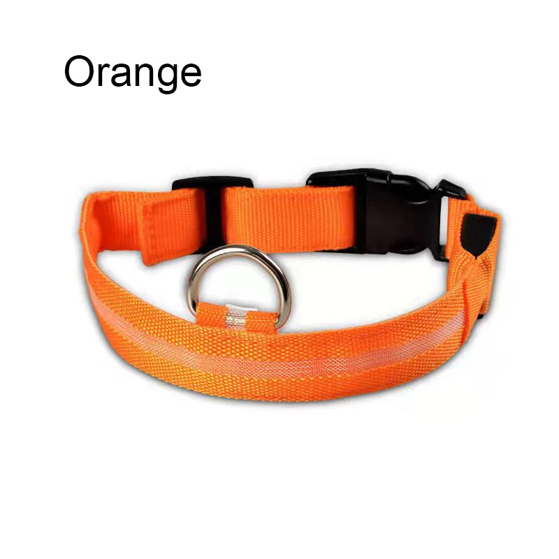 COLLAR LUMINOSO PARA PERRO NYLON LED