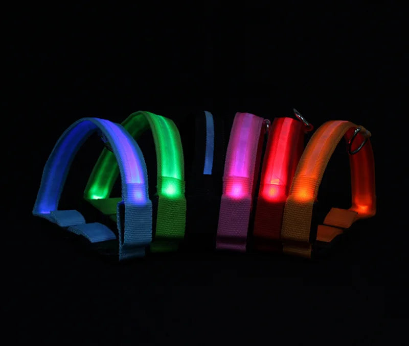 COLLAR LUMINOSO PARA PERRO NYLON LED