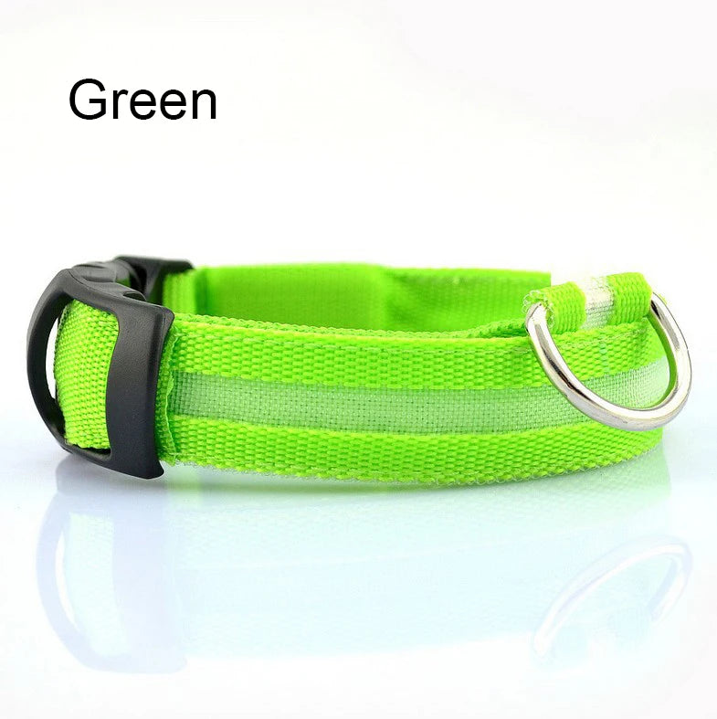 COLLAR LUMINOSO PARA PERRO NYLON LED