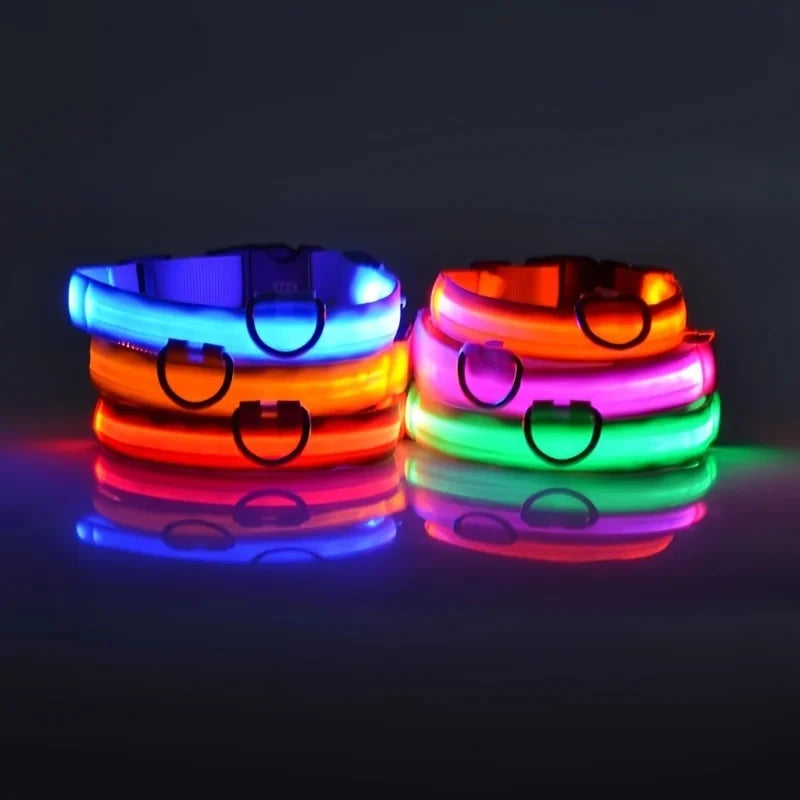 COLLAR LUMINOSO PARA PERRO NYLON LED