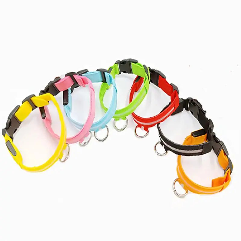 COLLAR LUMINOSO PARA PERRO NYLON LED