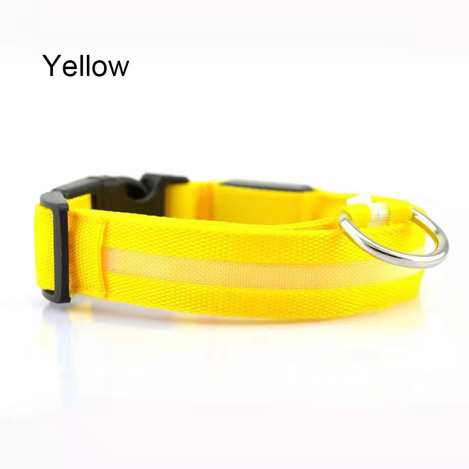 COLLAR LUMINOSO PARA PERRO NYLON LED