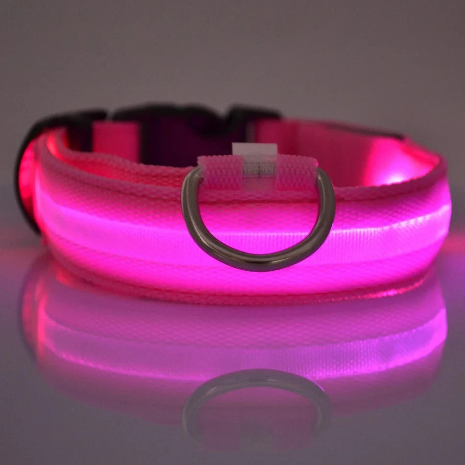 COLLAR LUMINOSO PARA PERRO NYLON LED