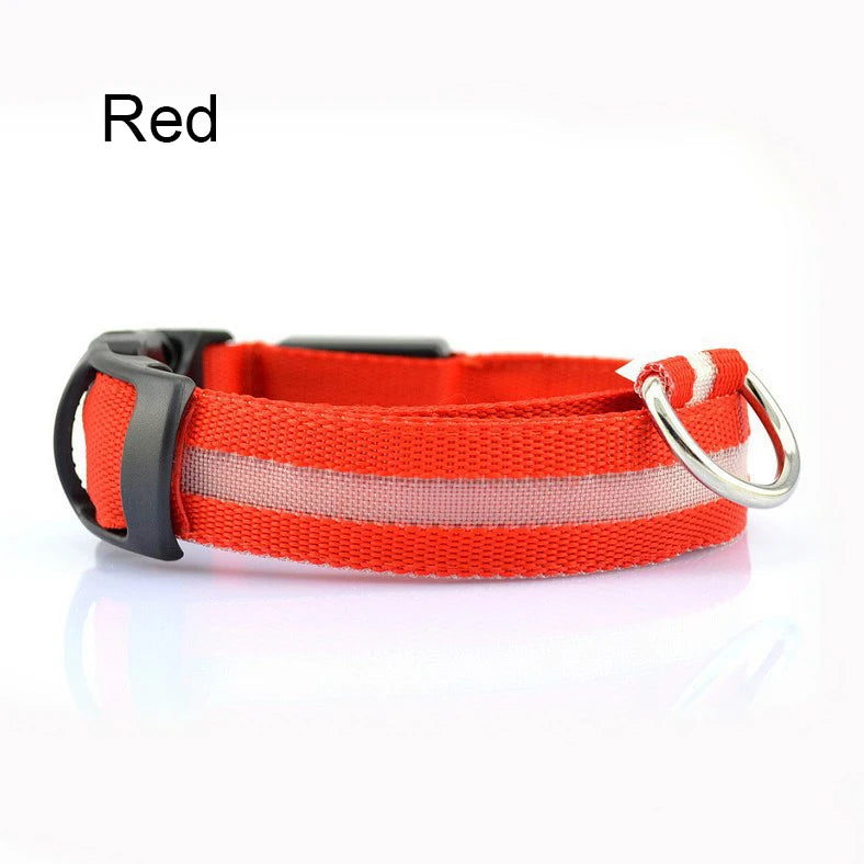 COLLAR LUMINOSO PARA PERRO NYLON LED